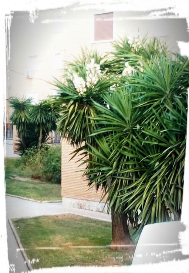 Apartament Corazon De Andalucia Antequera Zewnętrze zdjęcie